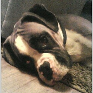 Duke