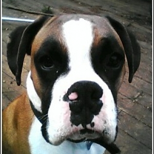 Whats up?