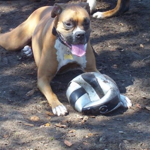 layloni and THE soccer ball