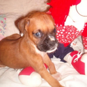 Tyson at 5 weeks!
