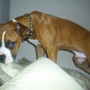 Somebody looks guilty!!