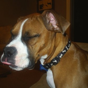 Trying_to_stay_awake