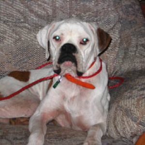 Gretta - my new baby!