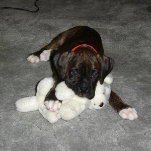Sooo tired!