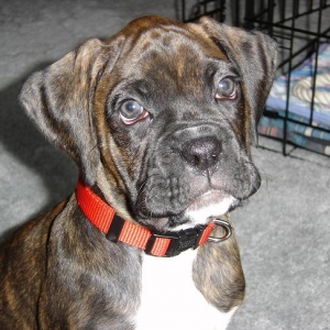 What a Face!