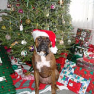 Kayla Christmas 2004