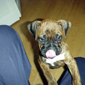 Kayla and Eddie 2003