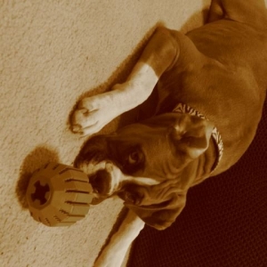 roxy4