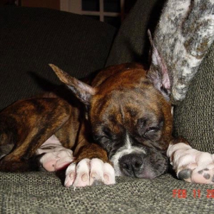 Sleeping