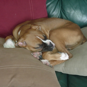 i want to be just like my brother and sister!