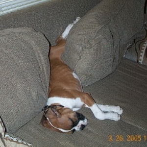 Sack O Couch Potatoes