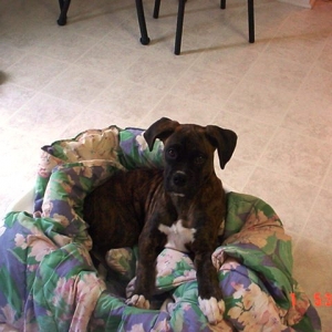 Fiona getting in trouble