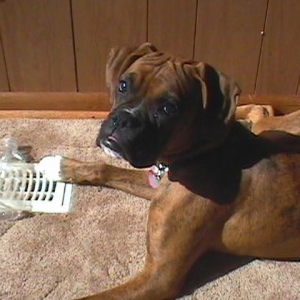 Sam-SideView