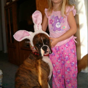 Easter Boxer 2!!