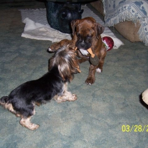 It's Mine, no it's Mine
