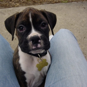 1st Day home