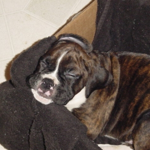 I'm Sleepy!!
