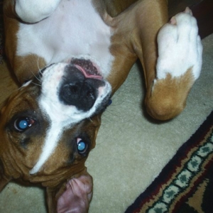 Just like the Easter Bunny