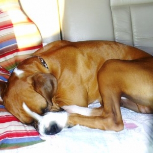 On the way home after a long Easter weekend