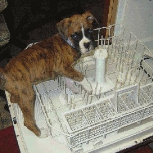Helping Mom!