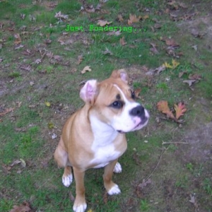 Tori Outside