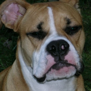 My Yoda Impression!