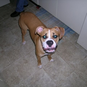 Ready for a yummy treat!