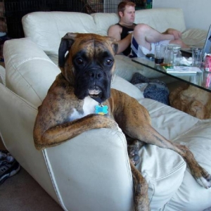 Haley_Chillin_collegehumor