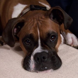 Daisy Mae