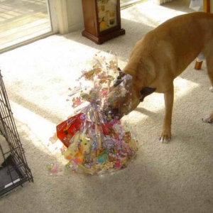 EasterBasket for Bruno