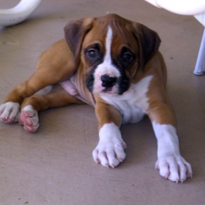 First Day Home