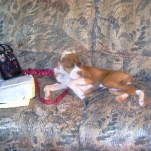 spring2005_123