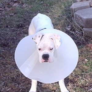 I am not HAPPY!