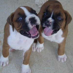 Abby & Lulu's first day home
