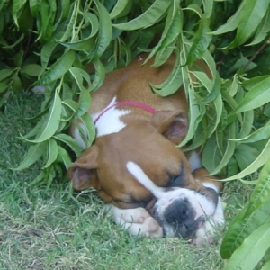 Nap Time
