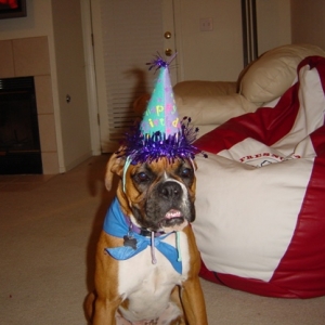 Lulu's first birthday