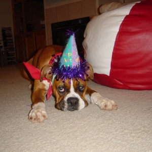 Abby's first birthday