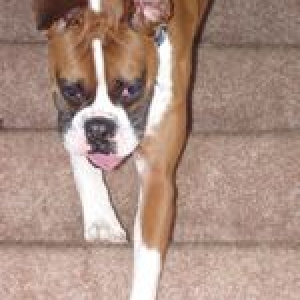 The new Boy Cooper!!!