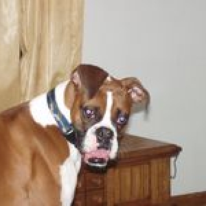 Huh???  (cooper)