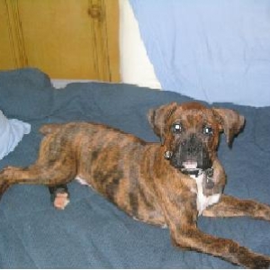 Max at 3 1/2 months