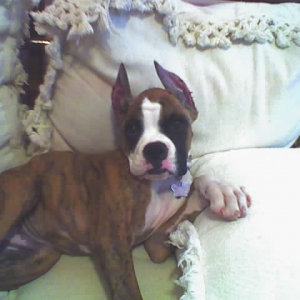 Maxx with his first expression in his ears