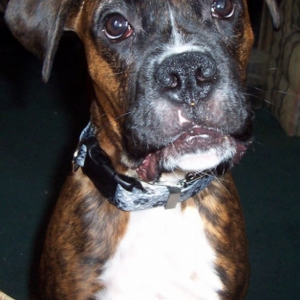Looking Handsome