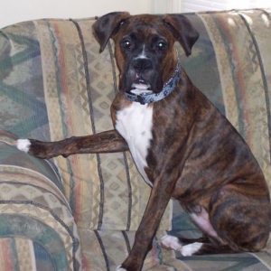 Making himself at home