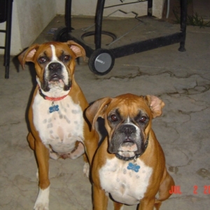 Abby and Lulu