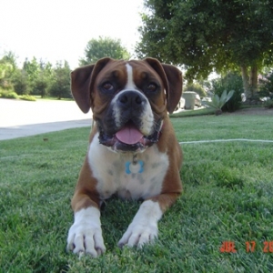 Abby