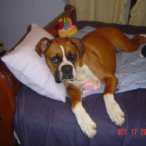This is my bed now