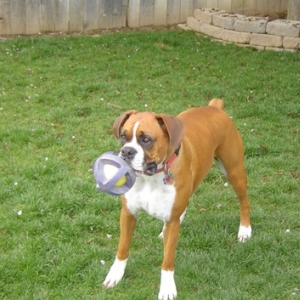 Play time