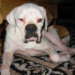 Droopy-Eyed Girl