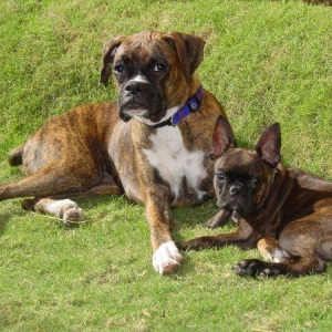 Kairi & Buster