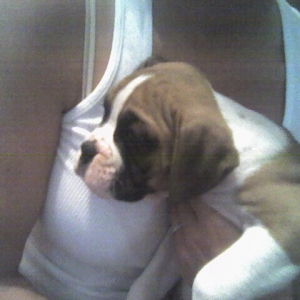 Tyson with his Mommy!